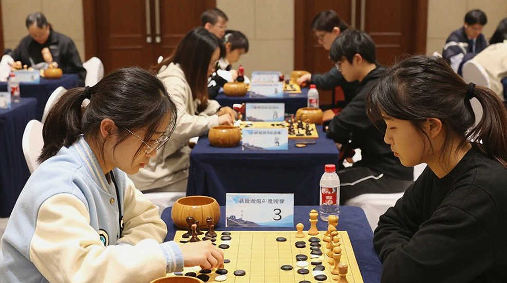 Salesforce on a Chess Headline: An Opening Move That Never Reaches the Middlegame Salesforce on a Chess Headline: An Opening Move That Never Reaches the Middlegame