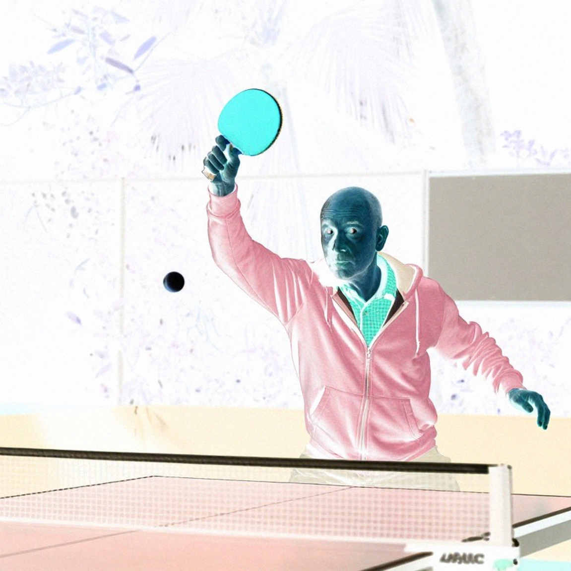 Chiếc bàn Butterfly và khoảng trống Table Tennis England chưa đo được